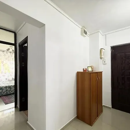 Apartment Apartamentul Lui Pavel *