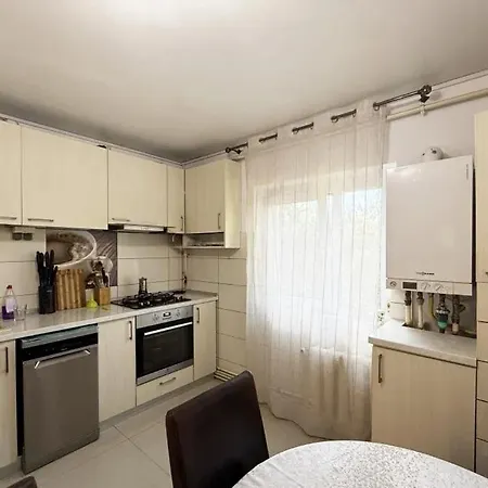 Apartment Apartamentul Lui Pavel *